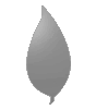 Weiße Wellpappe in Blatt-Form konturgefräst <br>einseitig 4/0-farbig bedruckt
